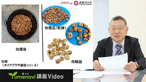 食物栄養科学部 食創造科学科 升井 洋至 先生